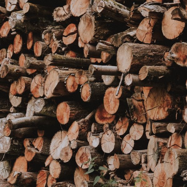 mfh-nachhaltigkeit_Holz